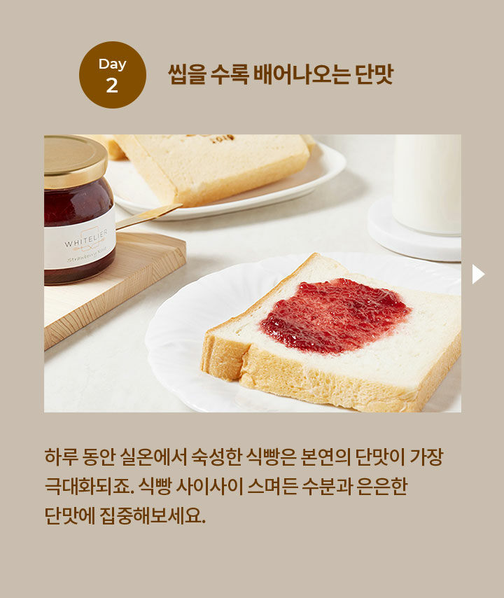 매거진>화제의 강남 빵집 생식빵의 정석 화이트리에