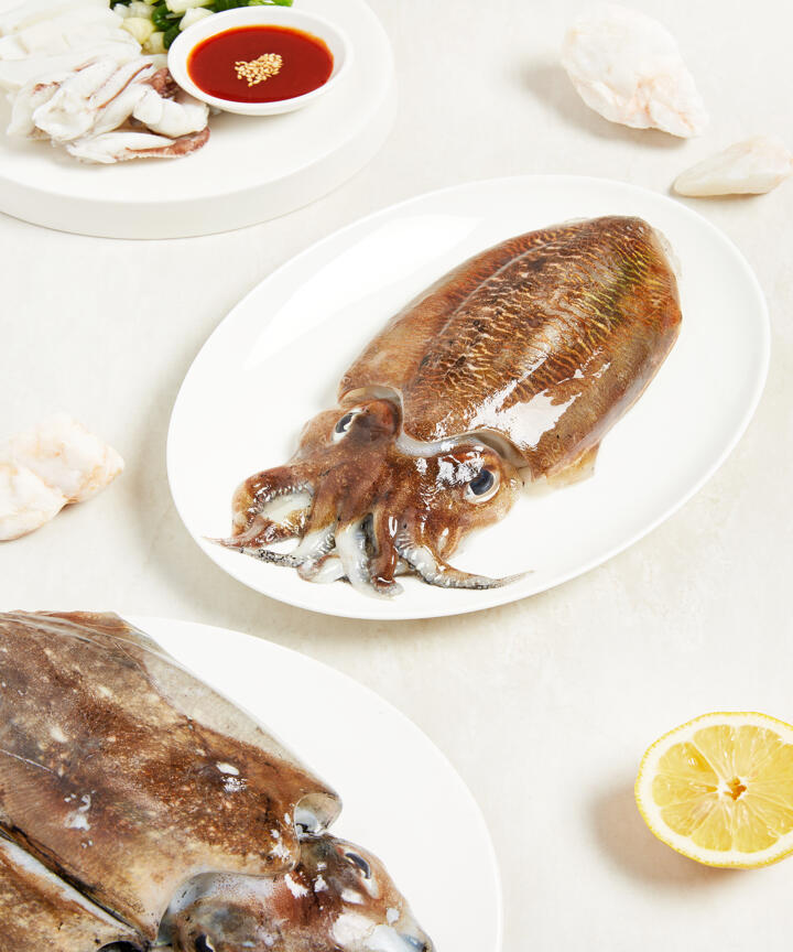 상품접근오류 - 현대식품관 [현대그린푸드] 서해안 생물 갑오징어 450g /650g 내외 (택1)