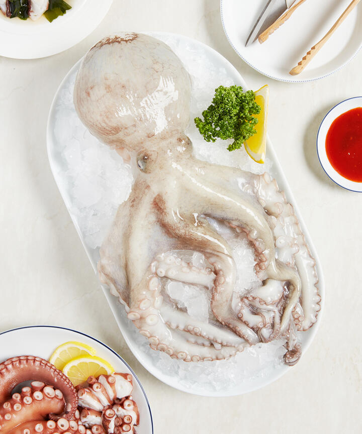 상품접근오류 - 현대식품관 [삼삼해물] 자연산 돌문어 (1kg 내외) (예약판매)