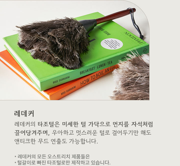 기획전>봄맞이 클리닝아이템 제안